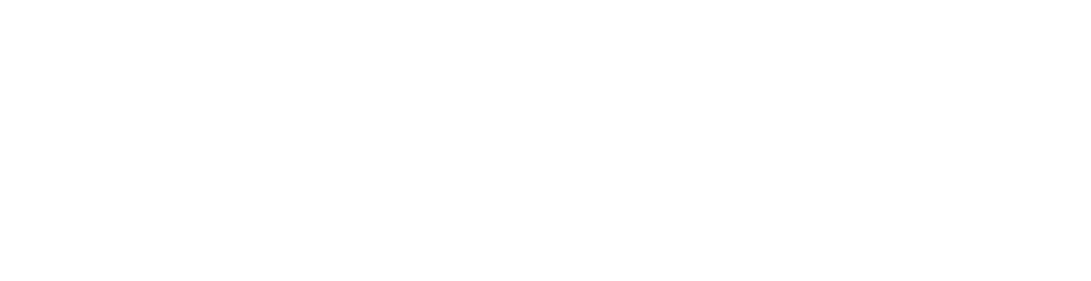 logo api5000